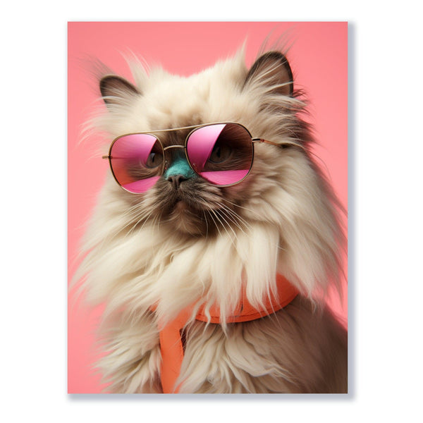 Katze mit Sonnenbrille 30x40 cm / 12x16″ / Poster auf halbmattem Papier